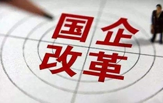 集團(tuán)18戶(hù)企業(yè)改制情況